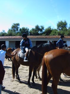 equitation